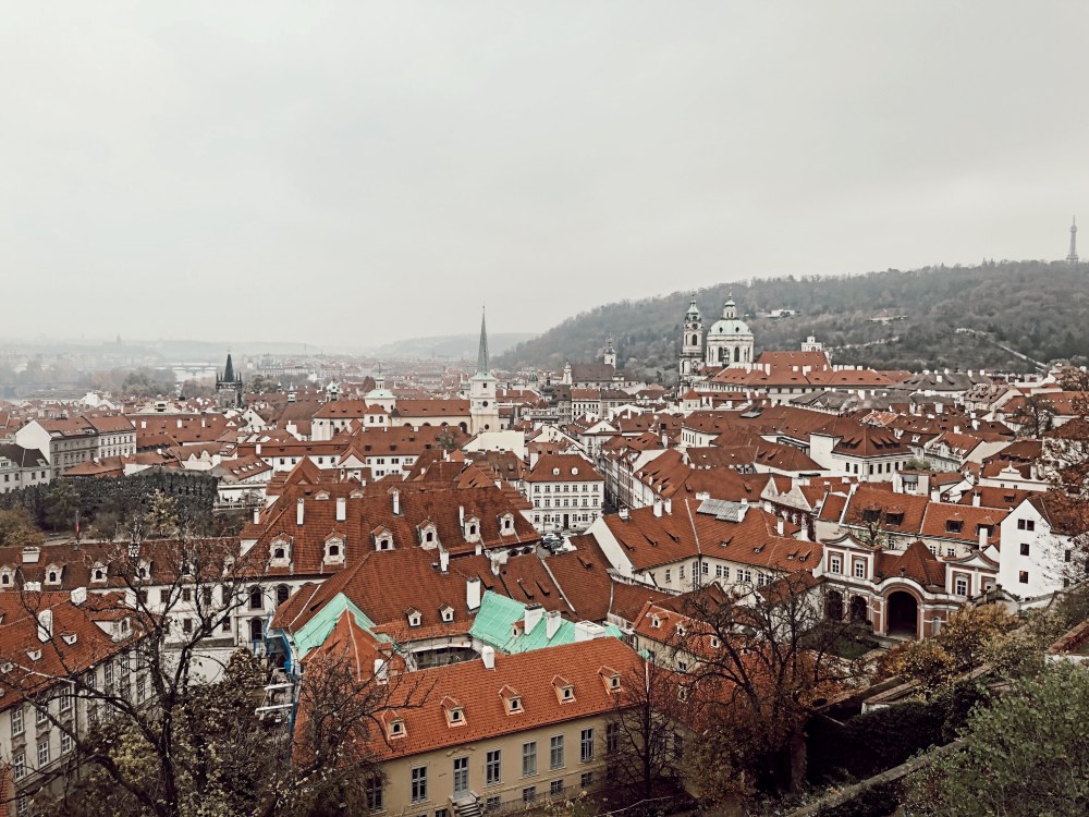 IMG-9664-Facetune-17-11-2018-20-17-54